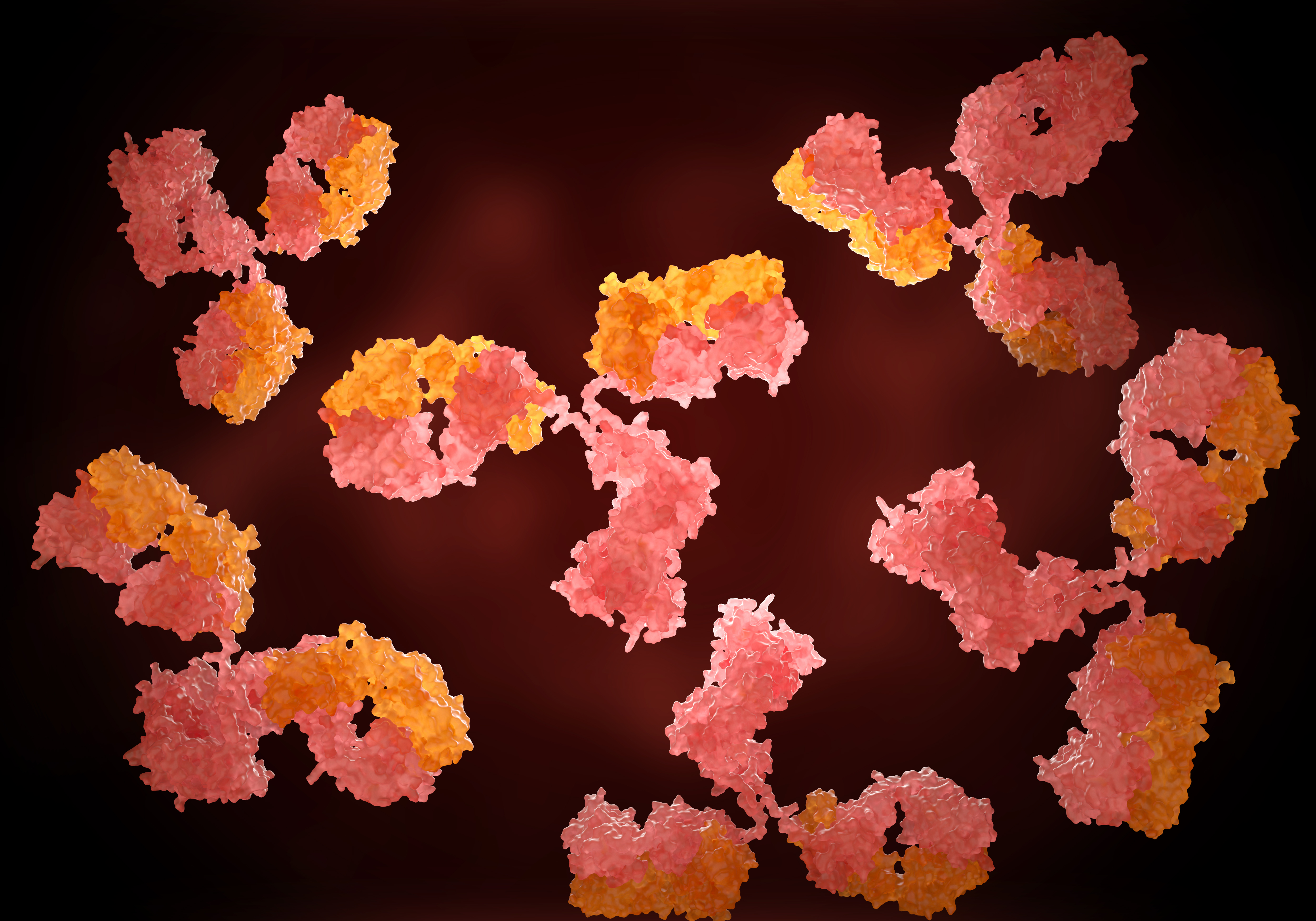 DNA Repair Mechanisms with SMUG1 Polyclonal Antibody
